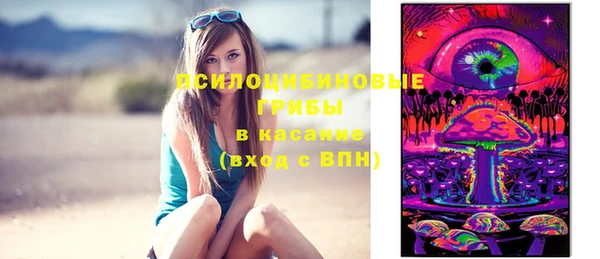 ПСИЛОЦИБИНОВЫЕ ГРИБЫ Гусев