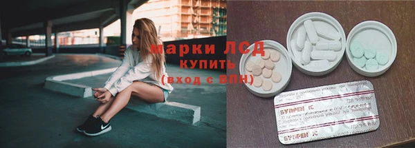 крисы Дмитров