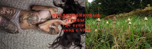 альфа пвп Дмитриев