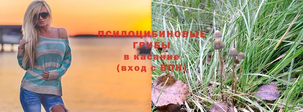 2c-b Гусиноозёрск