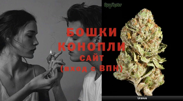 альфа пвп Дмитровск