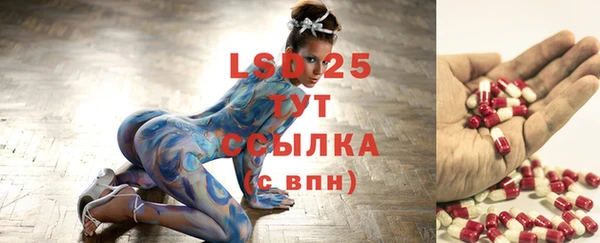 крисы Дмитров