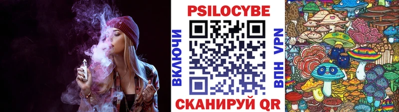 Купить закладки  Кашира  Галлюциногенные грибы MAGIC MUSHROOMS 